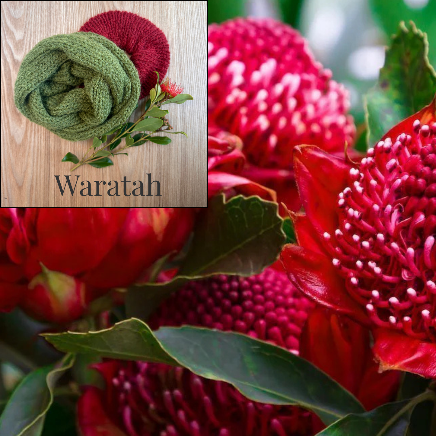 Handmade Knit Scrunchie Gift Set – Merino & Alpaca | Australian Native Bloom Collection | Reusable Cotton Gift Bag