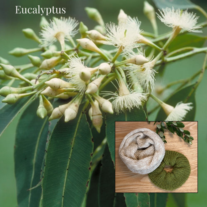 Handmade Knit Scrunchie Gift Set – Merino & Alpaca | Australian Native Bloom Collection | Reusable Cotton Gift Bag